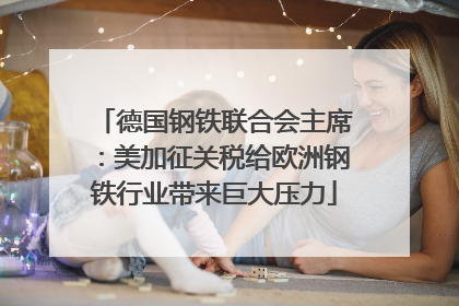 德国钢铁联合会主席：美加征关税给欧洲钢铁行业带来巨大压力