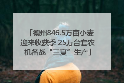 德州846.5万亩小麦迎来收获季 25万台套农机备战“三夏”生产