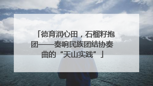 德育润心田，石榴籽抱团——奏响民族团结协奏曲的“天山实践”