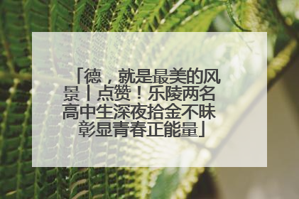 德，就是最美的风景丨点赞！乐陵两名高中生深夜拾金不昧 彰显青春正能量