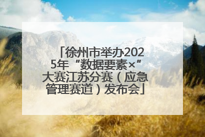 徐州市举办2025年“数据要素×”大赛江苏分赛（应急管理赛道）发布会