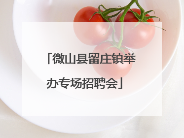 微山县留庄镇举办专场招聘会