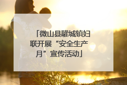 微山县驩城镇妇联开展“安全生产月”宣传活动