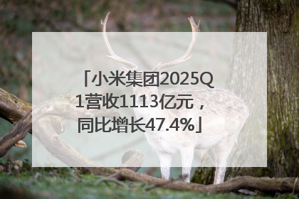 小米集团2025Q1营收1113亿元，同比增长47.4%