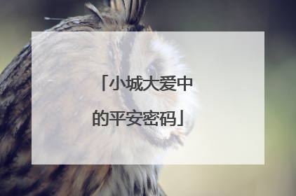小城大爱中的平安密码