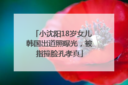 小沈阳18岁女儿韩国出道照曝光，被指撞脸孔孝真