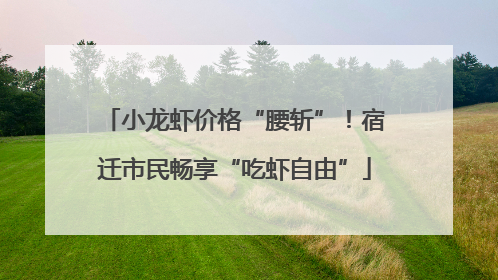 小龙虾价格“腰斩”！宿迁市民畅享“吃虾自由”