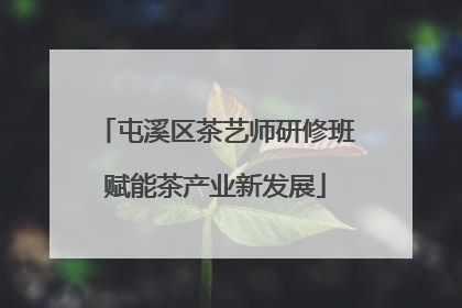 屯溪区茶艺师研修班赋能茶产业新发展