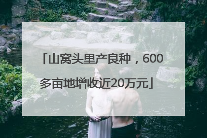 山窝头里产良种，600多亩地增收近20万元