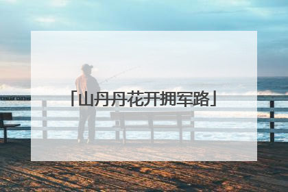 山丹丹花开拥军路