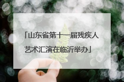 山东省第十一届残疾人艺术汇演在临沂举办
