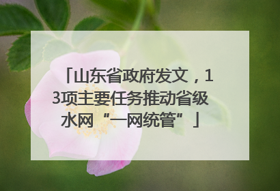 山东省政府发文，13项主要任务推动省级水网“一网统管”