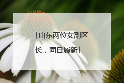 山东两位女副区长，同日履新