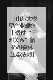 山东大模型产业观察丨透过“三对关系”解码AI森林生态法则