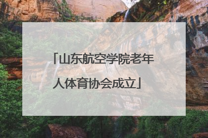 山东航空学院老年人体育协会成立
