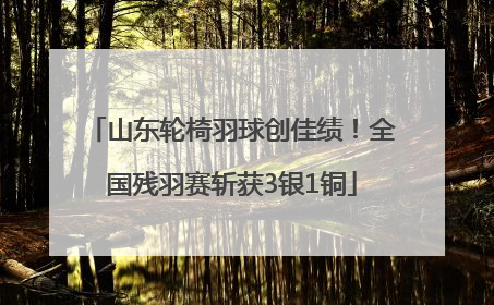 山东轮椅羽球创佳绩！全国残羽赛斩获3银1铜