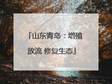 山东青岛：增殖放流 修复生态