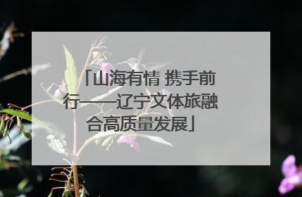 山海有情 携手前行——辽宁文体旅融合高质量发展