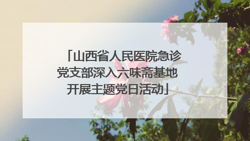 山西省人民医院急诊党支部深入六味斋基地开展主题党日活动
