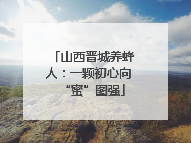 山西晋城养蜂人：一颗初心向“蜜”图强