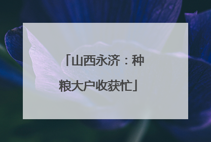 山西永济：种粮大户收获忙