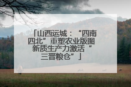 山西运城：“四南四北”重塑农业版图 新质生产力激活“三晋粮仓”