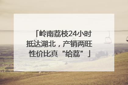 岭南荔枝24小时抵达湖北，产销两旺性价比真“给荔”