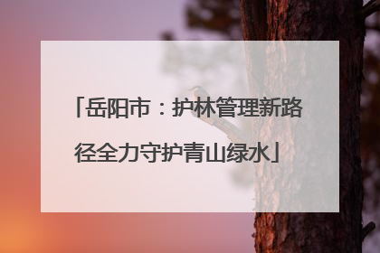 岳阳市：护林管理新路径全力守护青山绿水