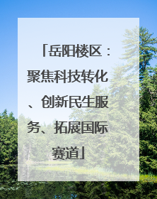 岳阳楼区：聚焦科技转化、创新民生服务、拓展国际赛道