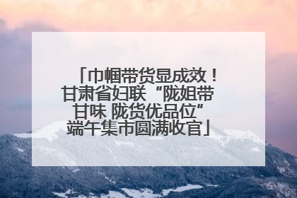 巾帼带货显成效！甘肃省妇联“陇姐带甘味 陇货优品位”端午集市圆满收官