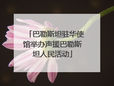 巴勒斯坦驻华使馆举办声援巴勒斯坦人民活动