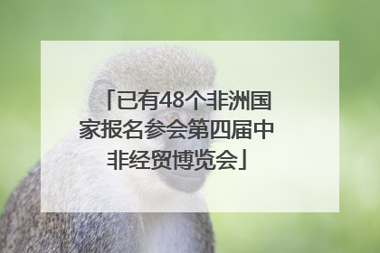 已有48个非洲国家报名参会第四届中非经贸博览会