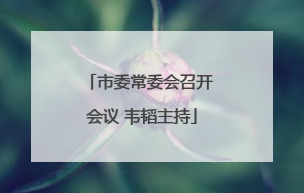 市委常委会召开会议 韦韬主持