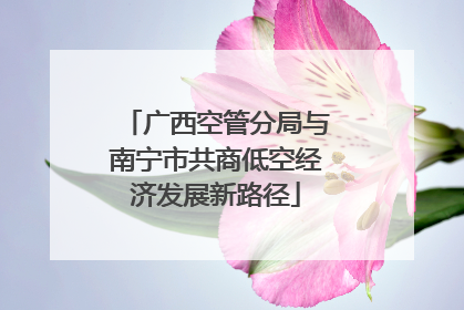广西空管分局与南宁市共商低空经济发展新路径
