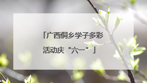 广西侗乡学子多彩活动庆“六一”