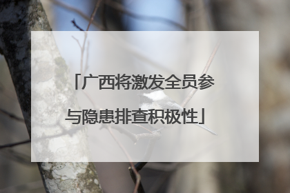 广西将激发全员参与隐患排查积极性