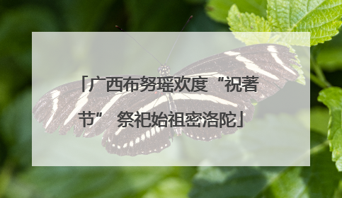 广西布努瑶欢度“祝著节” 祭祀始祖密洛陀
