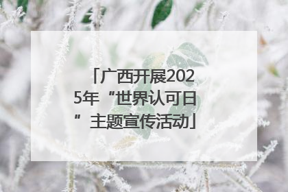 广西开展2025年“世界认可日”主题宣传活动