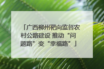 广西柳州靶向监督农村公路建设 推动“问题路”变“幸福路”