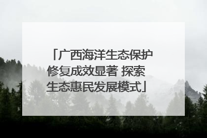 广西海洋生态保护修复成效显著 探索生态惠民发展模式