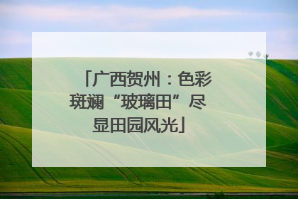 广西贺州：色彩斑斓“玻璃田”尽显田园风光