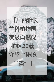 广西雅长兰科植物国家级自然保护区20载守望“秘境兰香”