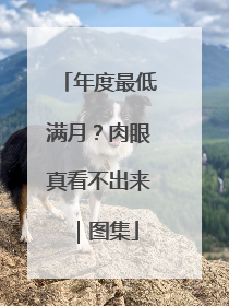 年度最低满月？肉眼真看不出来｜图集