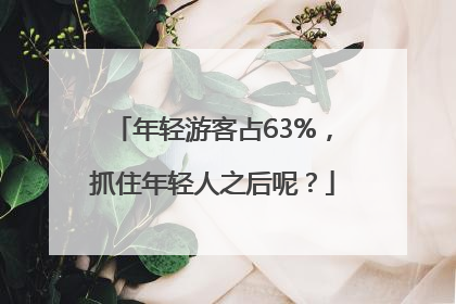 年轻游客占63%，抓住年轻人之后呢？
