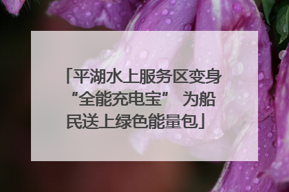 平湖水上服务区变身“全能充电宝” 为船民送上绿色能量包