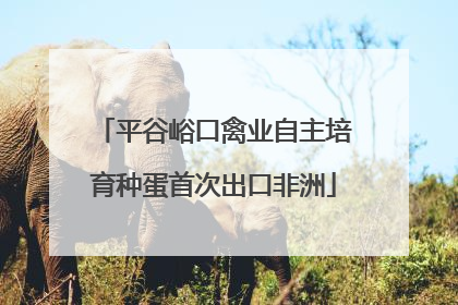 平谷峪口禽业自主培育种蛋首次出口非洲