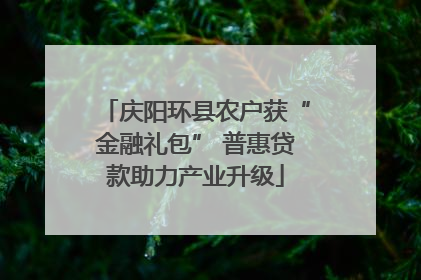 庆阳环县农户获“金融礼包” 普惠贷款助力产业升级