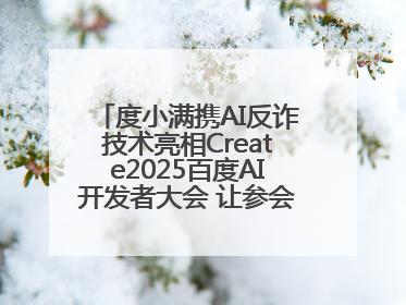 度小满携AI反诈技术亮相Create2025百度AI开发者大会 让参会者体验防深伪技术
