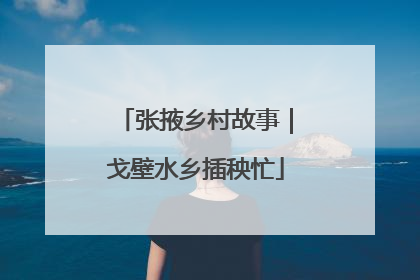 张掖乡村故事｜戈壁水乡插秧忙