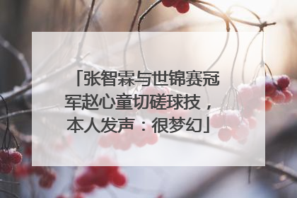 张智霖与世锦赛冠军赵心童切磋球技，本人发声：很梦幻